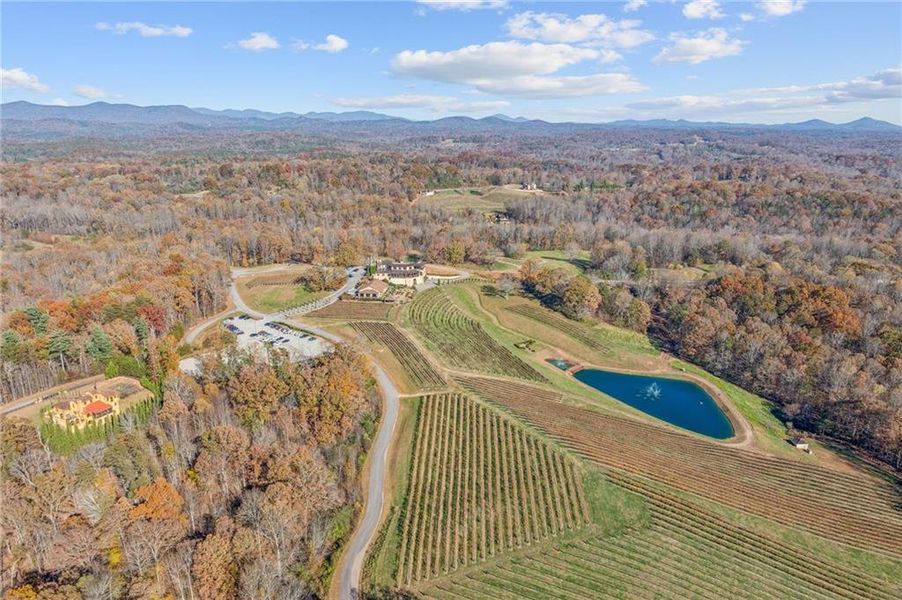 Natural landscape and outdoor views near  in Dahlonega (Image 49).