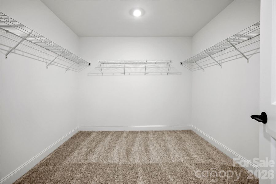 For Representation Purposes Only