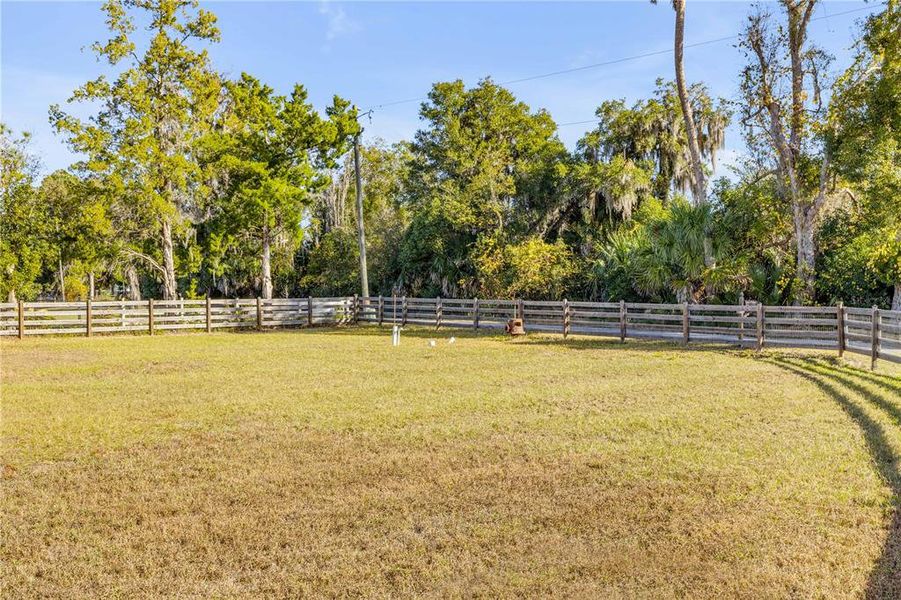 Natural landscape and outdoor views near  in Pierson (Image 20).