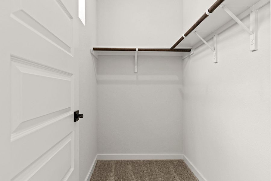 Functional closet featuring ample hanging space and neutral carpeting.