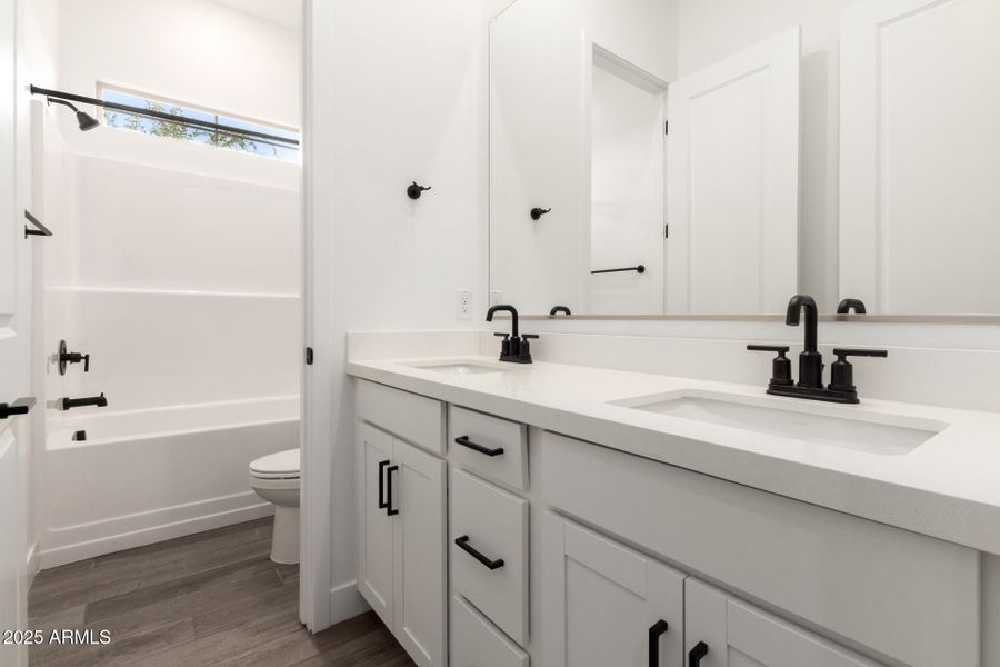 25 - Kingbird 25 - Kingbird