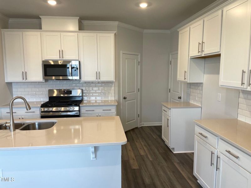 Kitchen and pantry