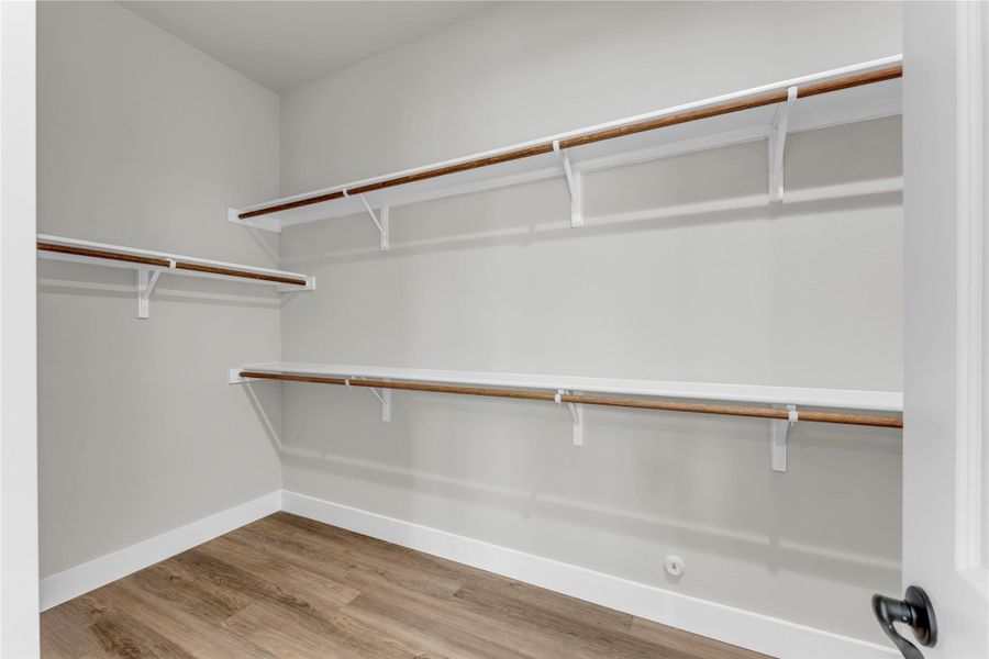 Walk in closet with light wood-type flooring