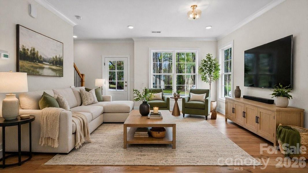 Family Room Virtual Stage