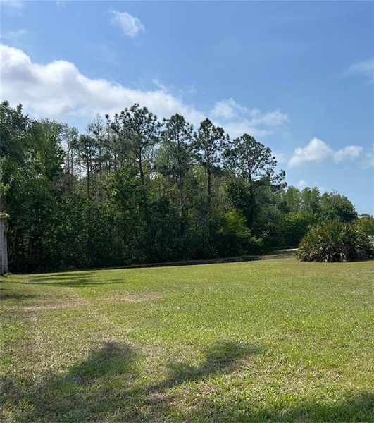 Natural landscape and outdoor views near  in New Port Richey (Image 10).
