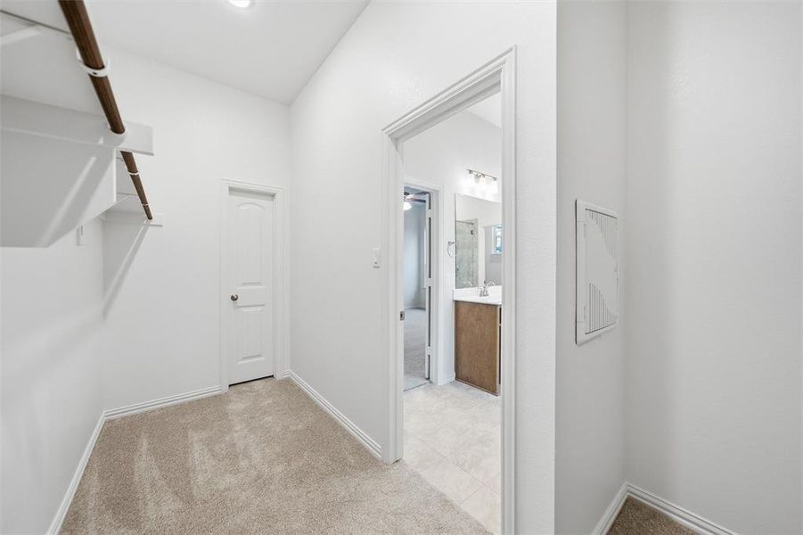 Walk in closet featuring light colored carpet Walk in closet featuring light colored carpet