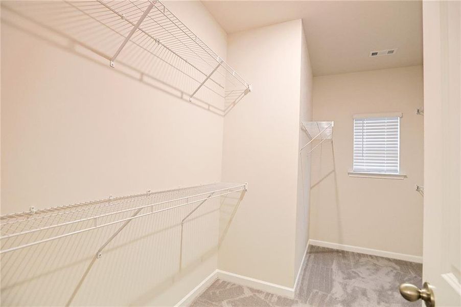 Spacious, unfurnished interior of a new home in , Auburn (Image 21).