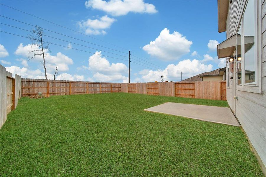 Large backyard, with no back neighbors