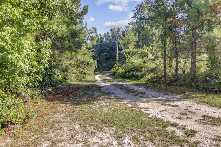 Natural landscape and outdoor views near  in Cottageville (Image 22).