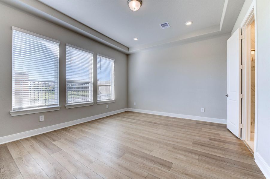 Light-filled primary bedroom with tray ceiling, wood-look flooring, and large windows for natural light.