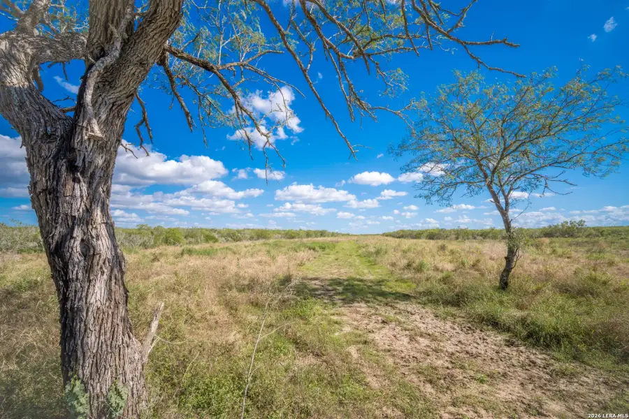 Natural landscape and outdoor views near  in Alice (Image 47).