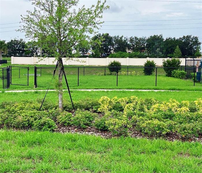 Natural landscape and outdoor views near Marion Ridge in Haines City (Image 11).