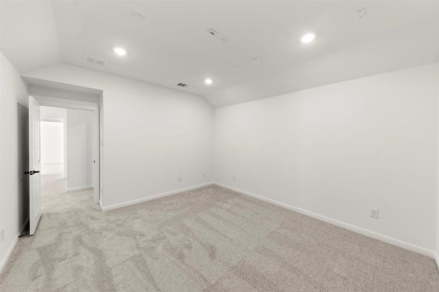 23. 605 Bunchberry - Media