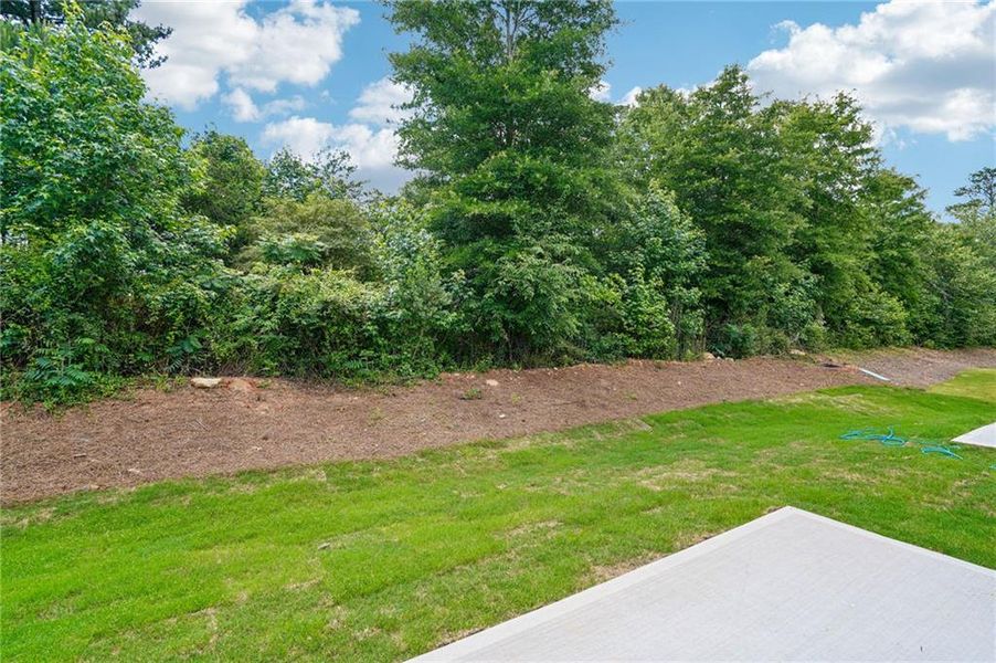 Natural landscape and outdoor views near Artisan Walk in Fairburn (Image 31).