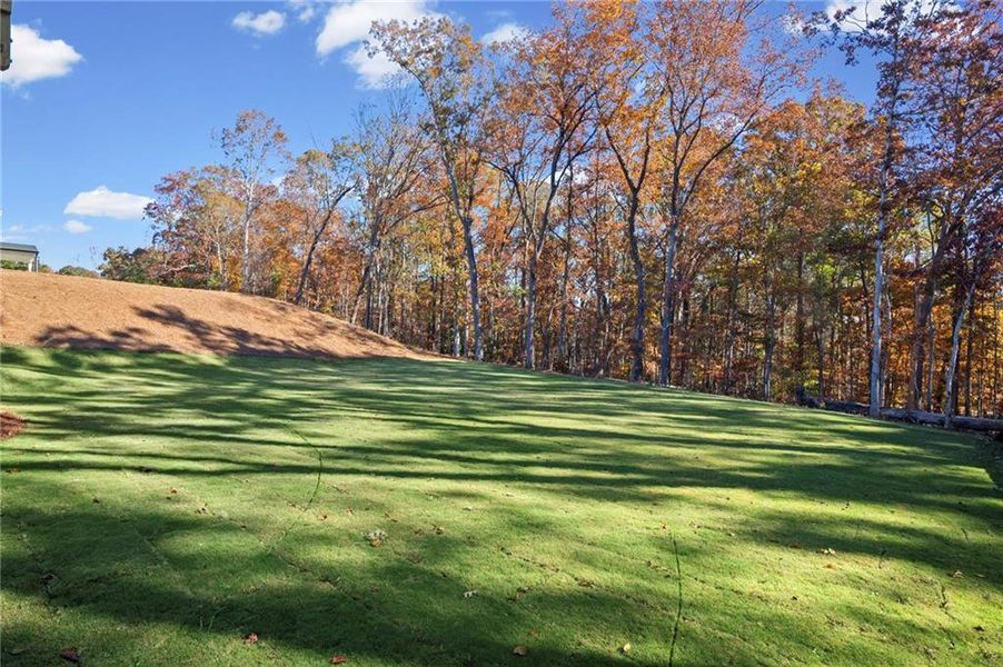 Natural landscape and outdoor views near Pickens Bluff in Hiram (Image 44).