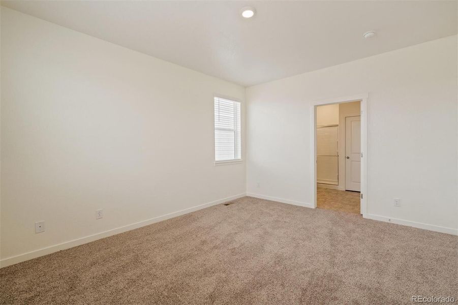 Spacious, unfurnished interior of a new home in Brighton Crossing, Brighton (Image 19). Spacious, unfurnished interior of a new home in Brighton Crossing, Brighton (Image 19).