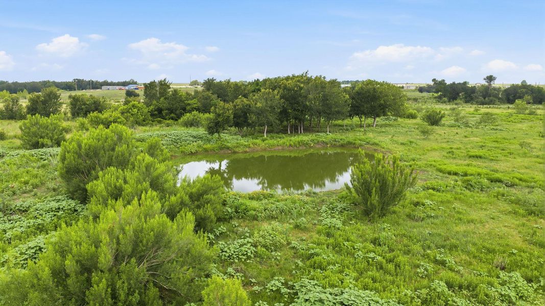 A tranquil pond awaits, surrounded by lush, verdant foliage under a clear sky.