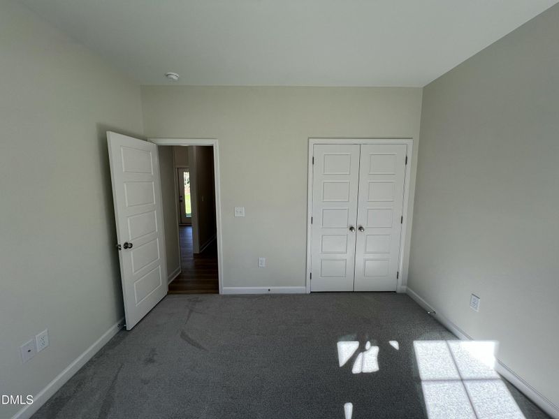 IMG_5215 2 IMG_5215 2