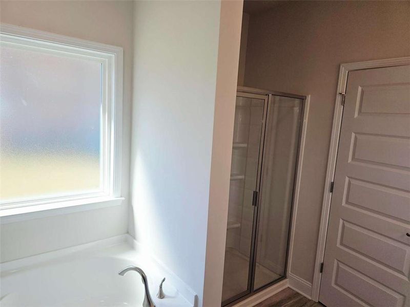 Image 15 of a home in Scarlett Place.