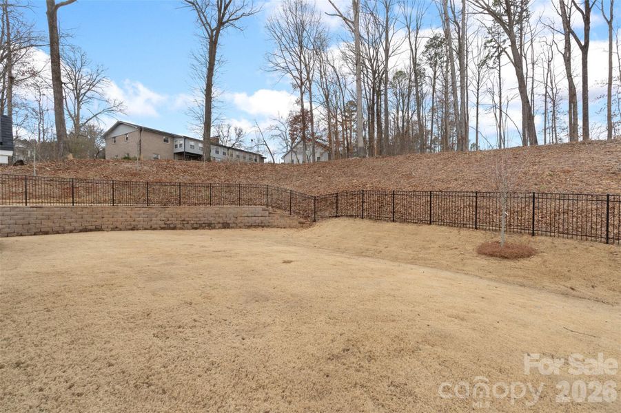 Tasteful Iron Fencing