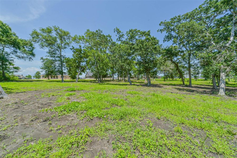 Natural landscape and outdoor views near  in Baytown (Image 41).