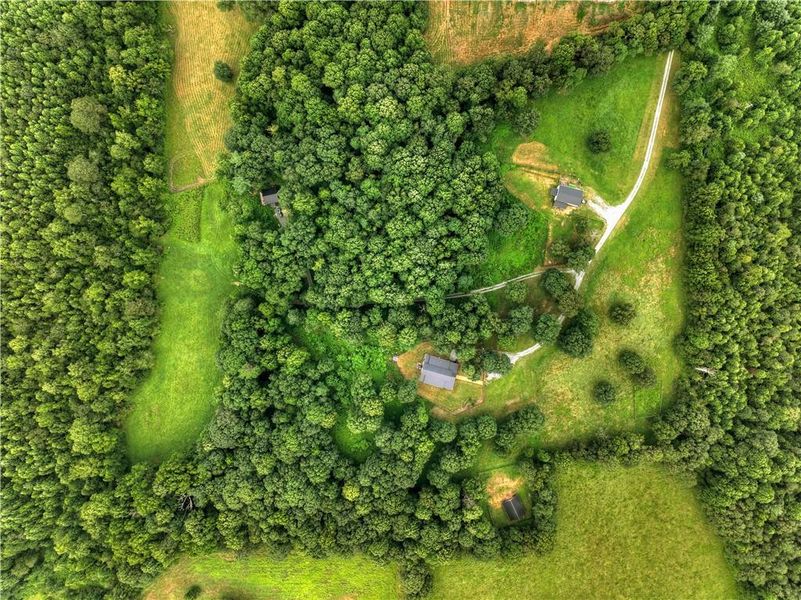 Natural landscape and outdoor views near in Ellijay (Image 118). Natural landscape and outdoor views near in Ellijay (Image 118).
