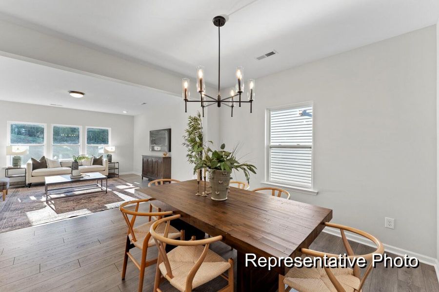 Furnished interior view inside a new home in , Ravenel (Image 6).