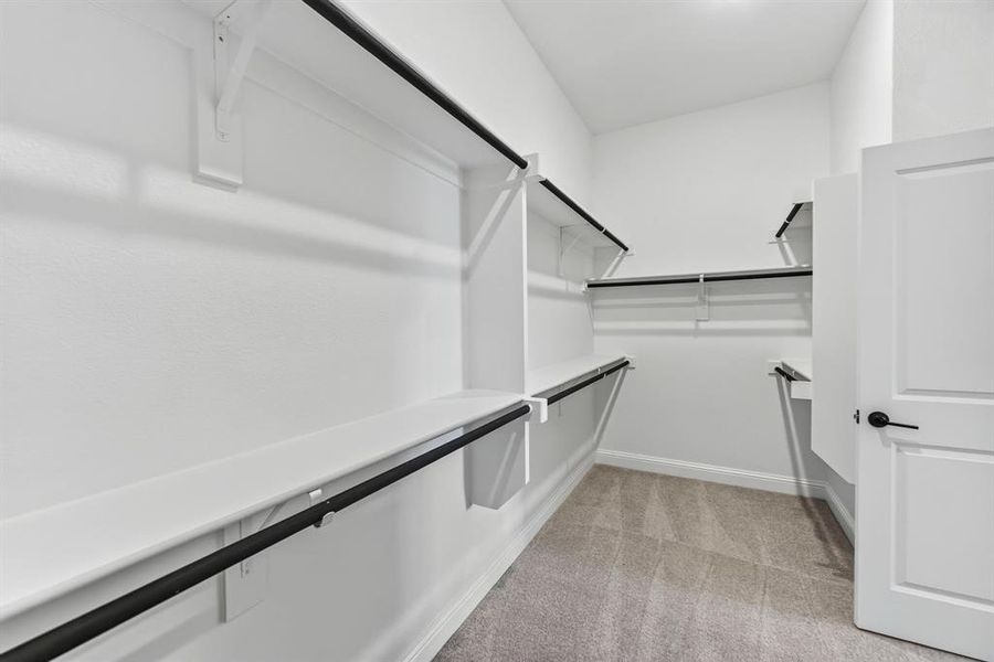 Primary walk-in closet featuring white shelving, black hanging rods, light-toned carpet flooring, and a white paneled door with black hardware