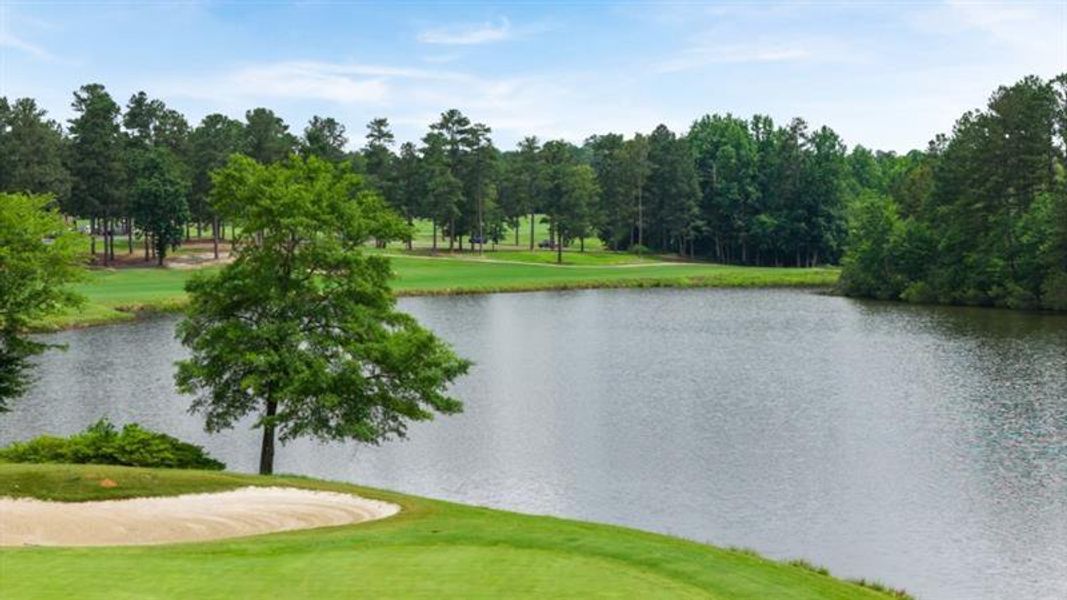 Natural landscape and outdoor views near Northwoods at Mirror Lake in Villa Rica (Image 52).
