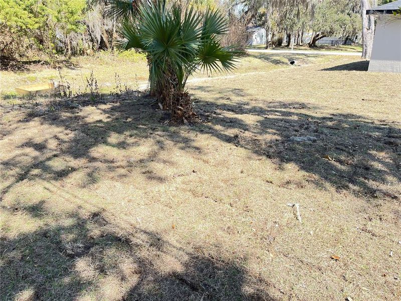 Natural landscape and outdoor views near  in Edgewater (Image 20).