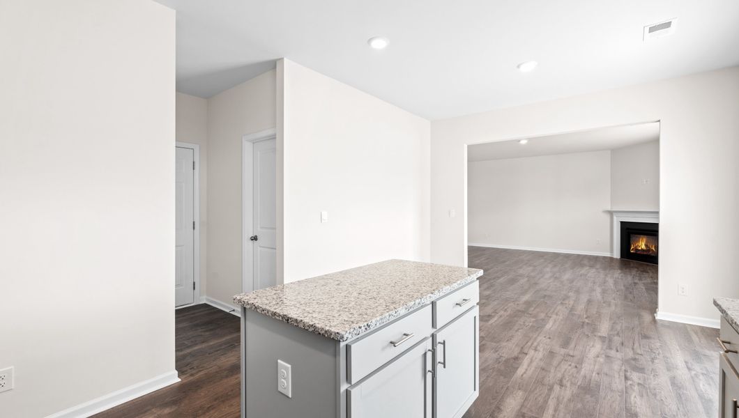 Image 32 representing the Biltmore by D.R. Horton in Hunters Ridge, Woodruff, SC.