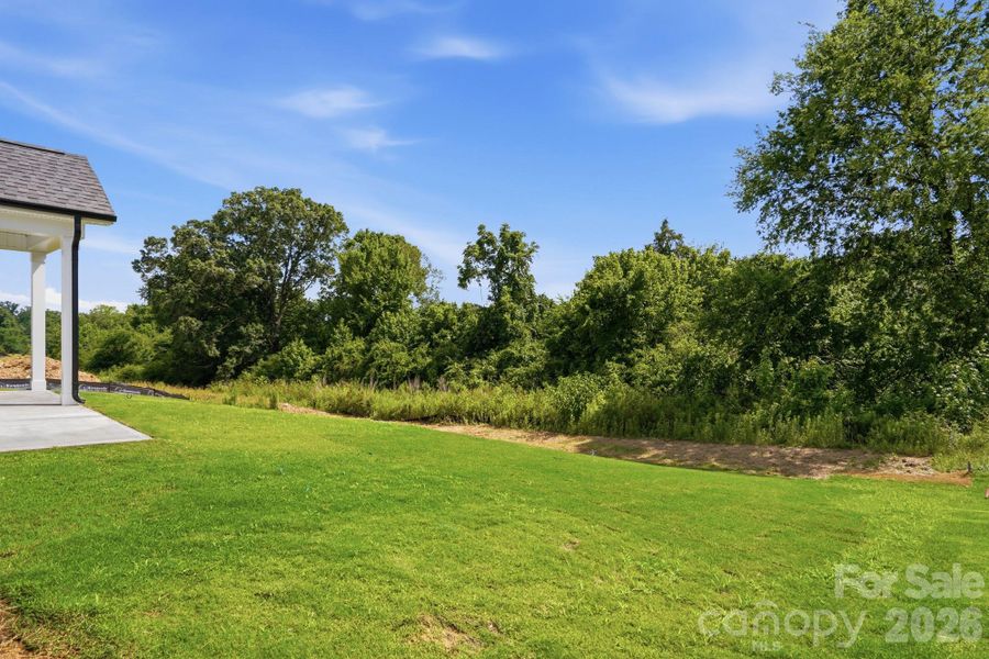 Backyard Backyard