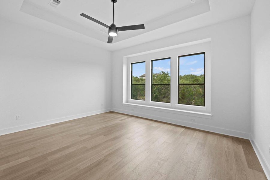 Primary Bedroom with tray ceiling