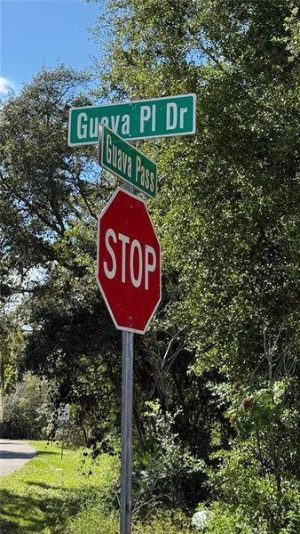 Front exterior of a new home in , Ocklawaha, FL, highlighting curb appeal (Image 17). Front exterior of a new home in , Ocklawaha, FL, highlighting curb appeal (Image 17).