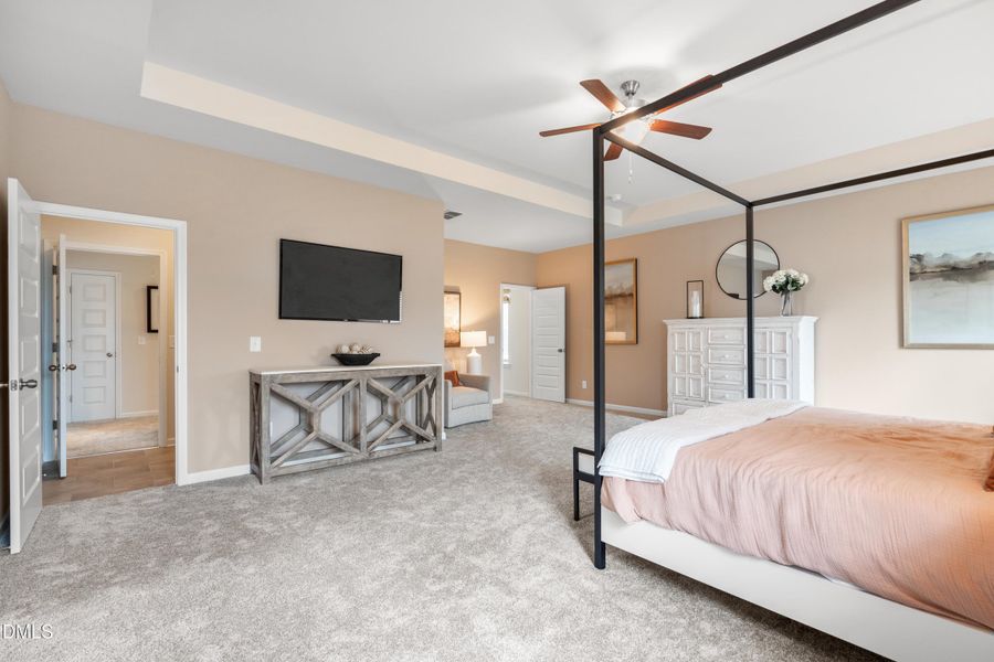 Representational Photo Representational Photo