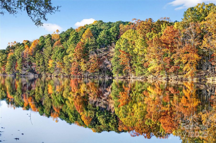 Into What Is Commonly Called Lake Davidson Into What Is Commonly Called Lake Davidson