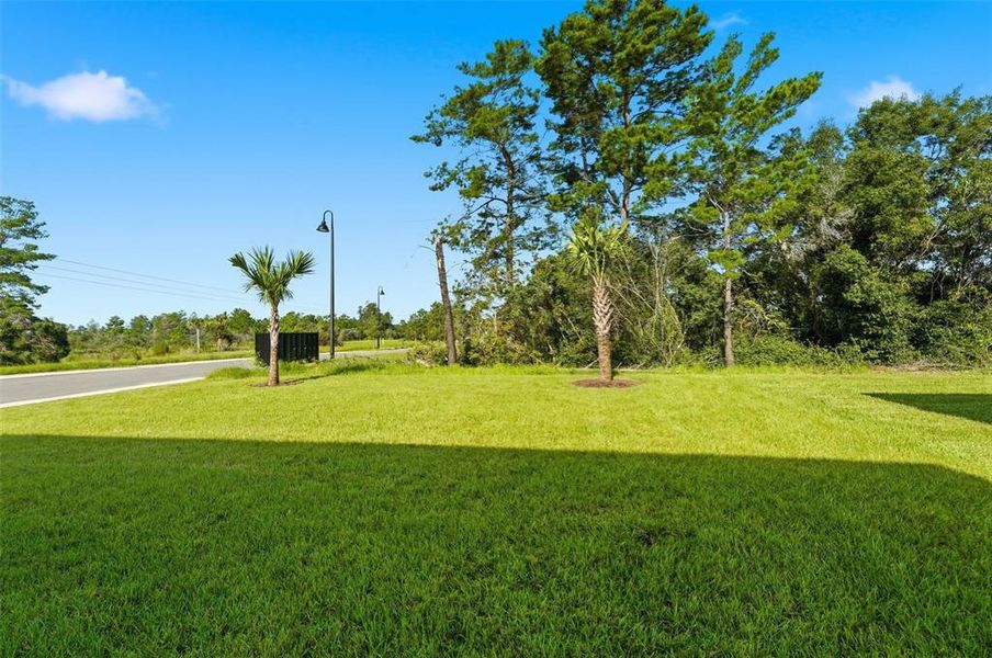 Natural landscape and outdoor views near in Deland (Image 30). Natural landscape and outdoor views near in Deland (Image 30).