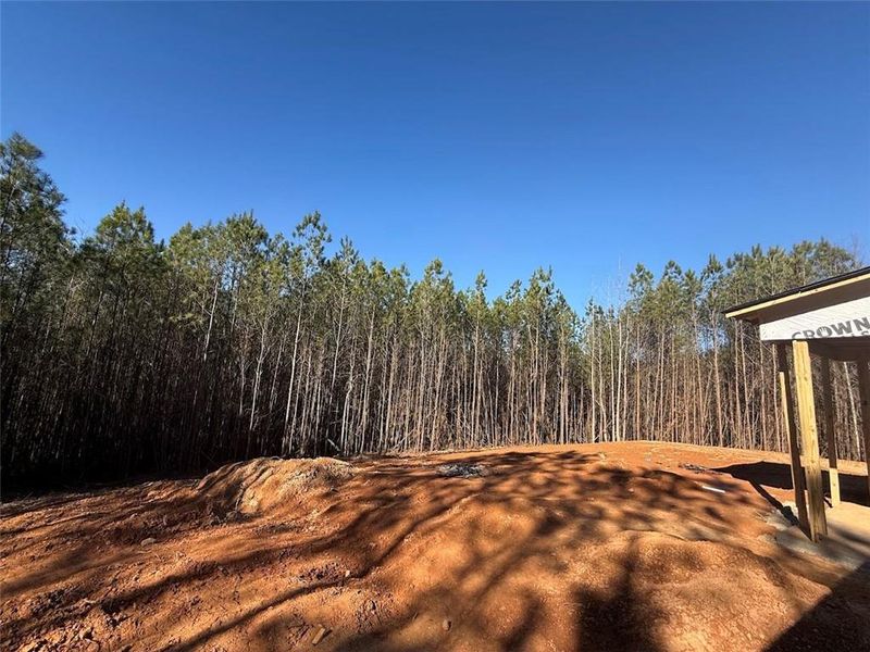 Site preparation for new homesites in , Tallapoosa (Image 33).