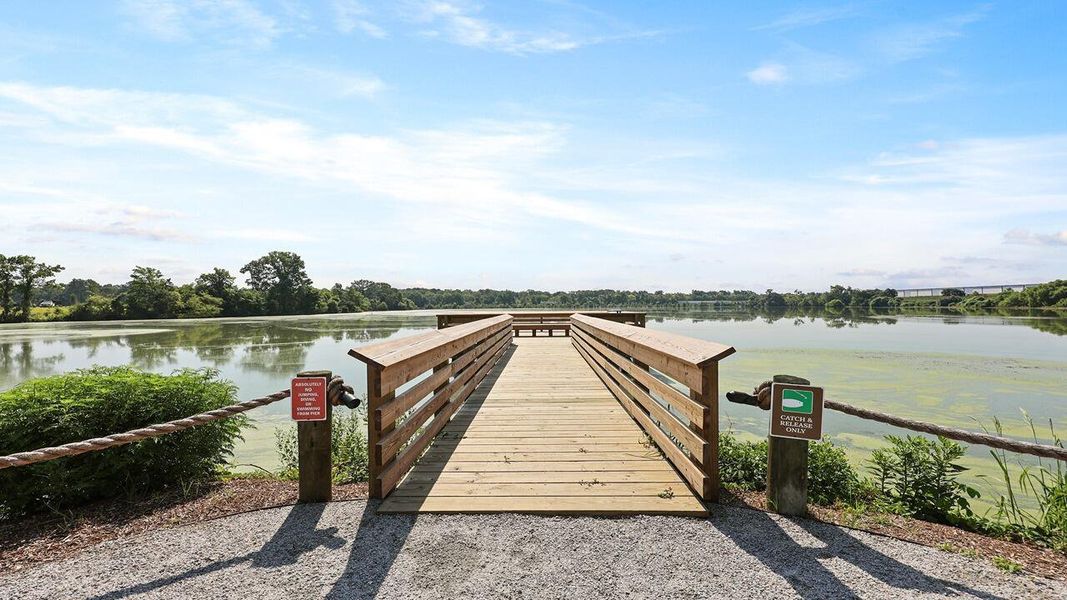 Image 31 of a home in Carolina Groves.