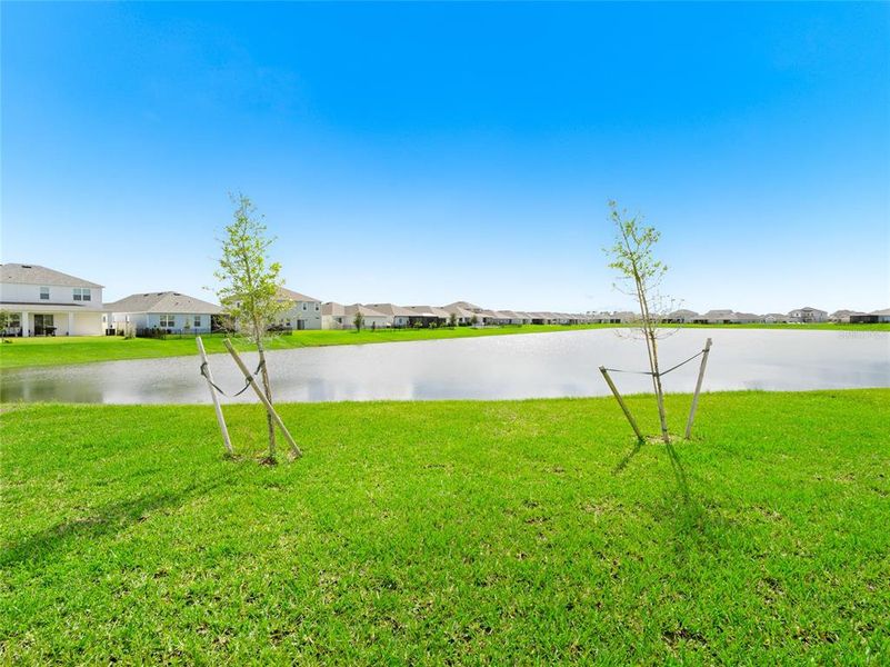 Natural landscape and outdoor views near in Palm Bay (Image 27). Natural landscape and outdoor views near in Palm Bay (Image 27).