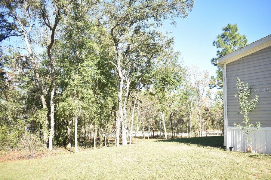 Natural landscape and outdoor views near  in Williston (Image 45).