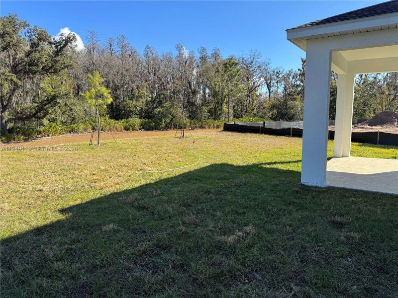 Exterior details and patio area of a home in , Land O' Lakes (Image 4).