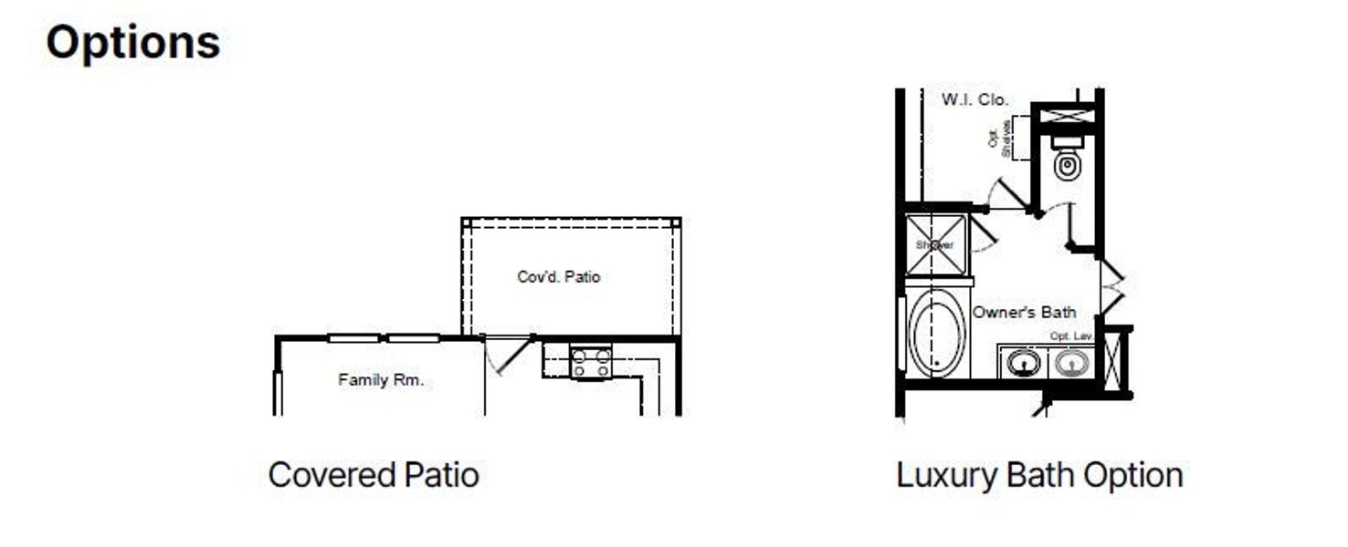 DaVinci Options DaVinci Options
