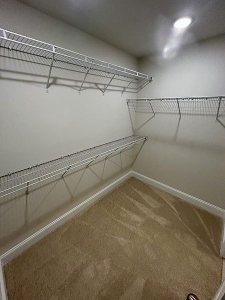 Spacious, unfurnished interior of a new home in Trellises, High Point (Image 30).