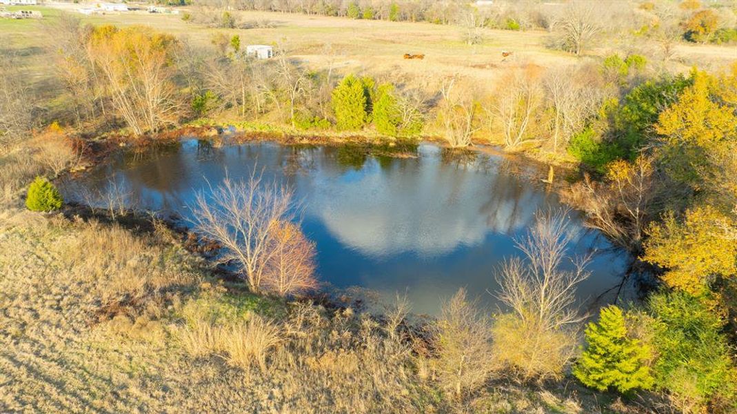 Natural landscape and outdoor views near in Wills Point (Image 22). Natural landscape and outdoor views near in Wills Point (Image 22).