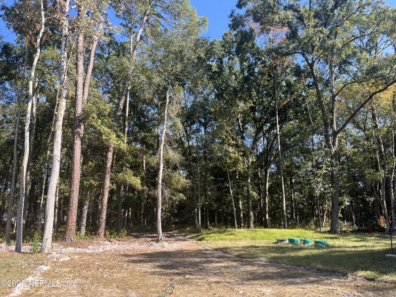 Natural landscape and outdoor views near in Jacksonville (Image 21). Natural landscape and outdoor views near in Jacksonville (Image 21).