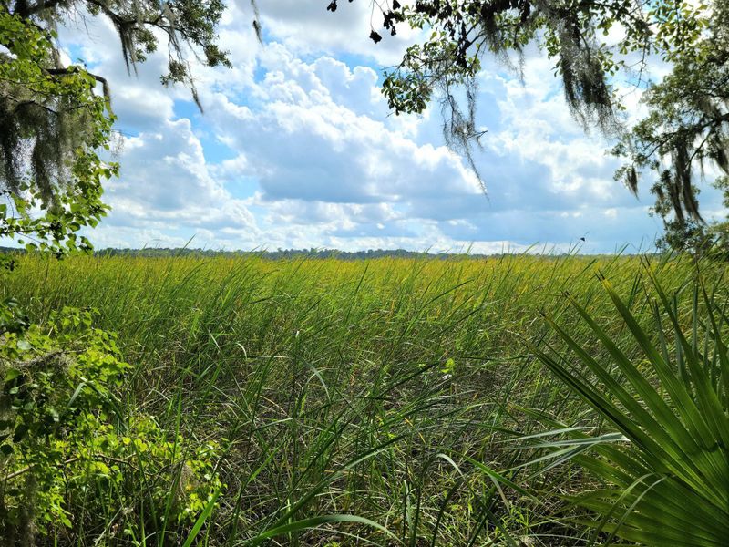 Image 46 of a home in Tributary At The Park At Rivers Edge.