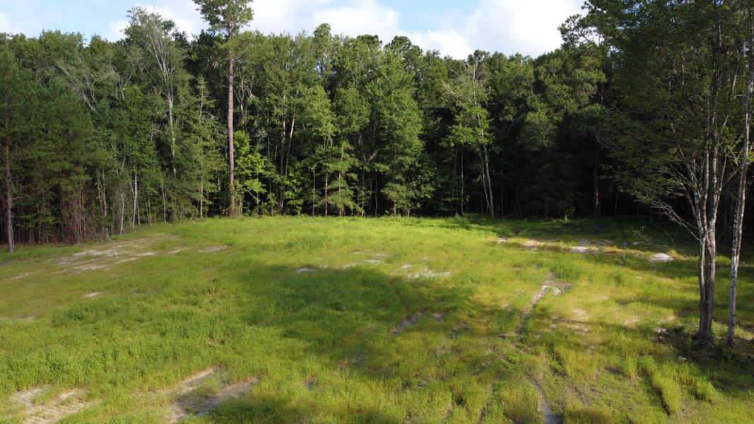 Natural landscape and outdoor views near  in Cross (Image 24).