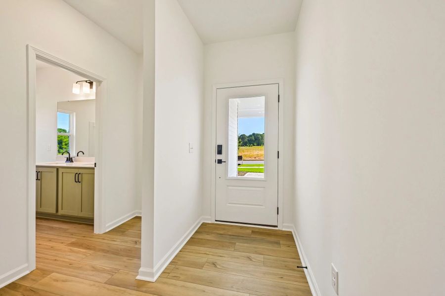 Foyer featuring the AW Collection® Rosemary - Natural light and bold color create grounded warmth. Foyer featuring the AW Collection® Rosemary - Natural light and bold color create grounded warmth.