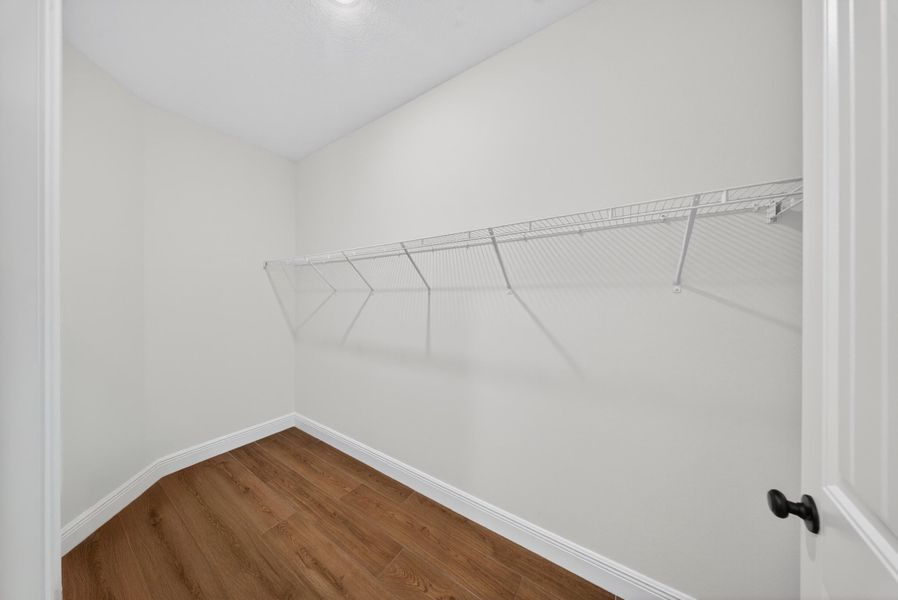 DSC04095-Edit DSC04095-Edit